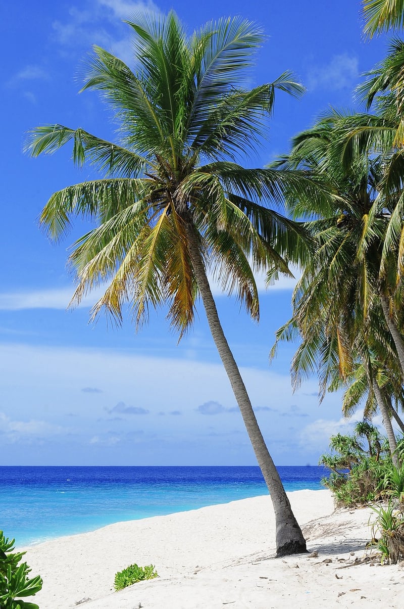Exotic Travel